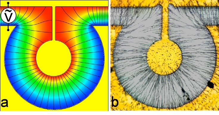 Patterning Nanowires (circular