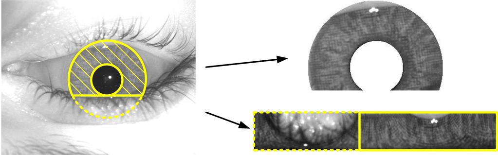 page 11 Soft contact lens detection in iris images 11 knowledge of known printing signatures too much.