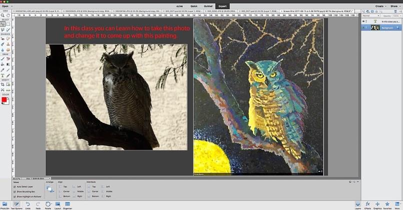 Photoshop Elements for Artists: A one-day workshop with instructor Debbie O Rourke Photoshop Elements can be an incredibly useful tool to help with your artwork.