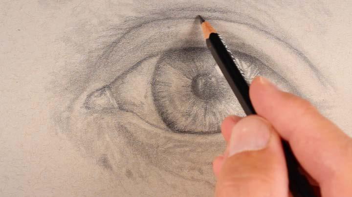 A few of the values around the eyes are also darkened with the softer graphite.