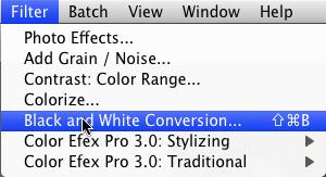 You can always come back to make adjustments (Figure NX.61). 44. From the Filter pull-down menu select Black and White Conversion (Figure NX.