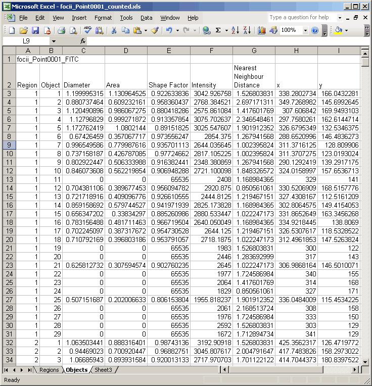 8. When all the image stacks have been processed the spreadsheet is displayed.