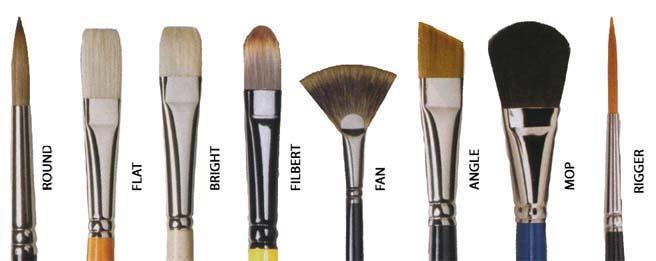 COMMON BRUSH TYPES These are available in many different hair types and sizes.
