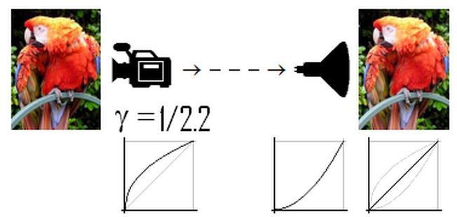 Gamma Correction Camera Overall (gamma