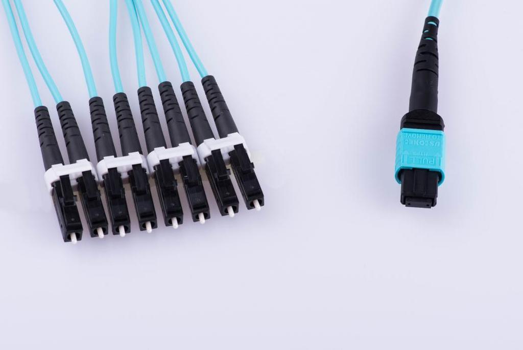 type of cable or connector available on the market today.