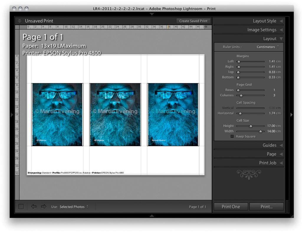 2. Now go to the Print module and adjust the Layout panel settings so that you are able to make a print with all three images ganged up on a single page. i.e. adjust the Page grid so that you have 1 column and 3 rows.