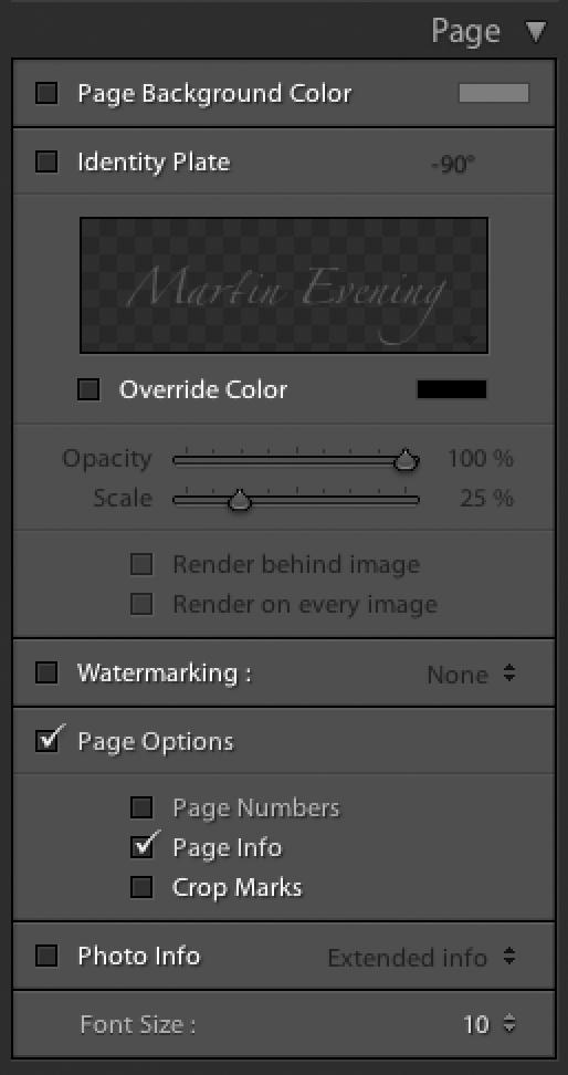 3. In the Page panel under the Page Options section, check the Page Info box. This will add the Lightroom Print module Print Job panel settings to the bottom of the printed page.
