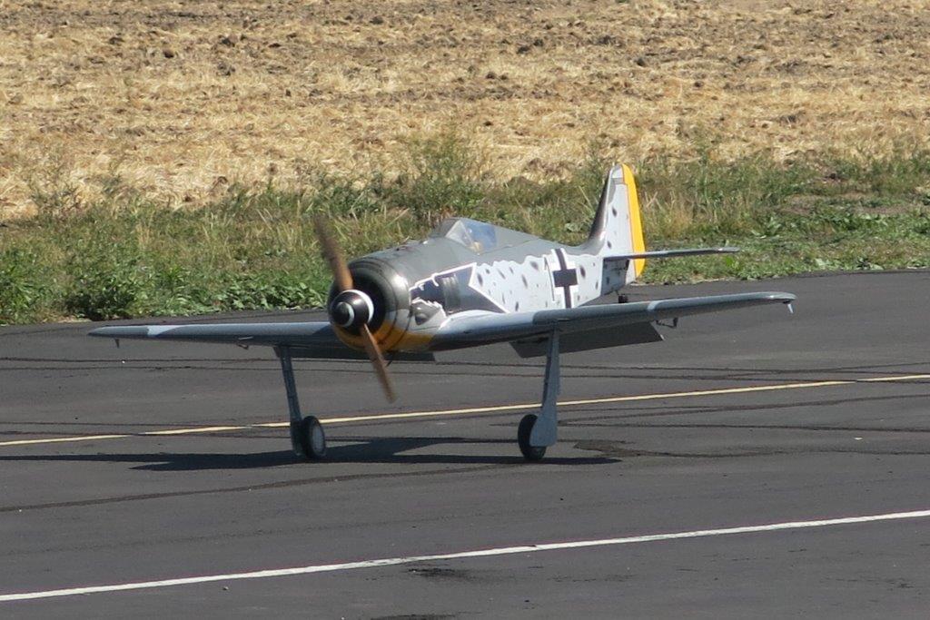 Frank Migliaccio from Ladera Ranch Ca flew the FW-190-A8 (picture 7) to a 2nd place in Pro Am