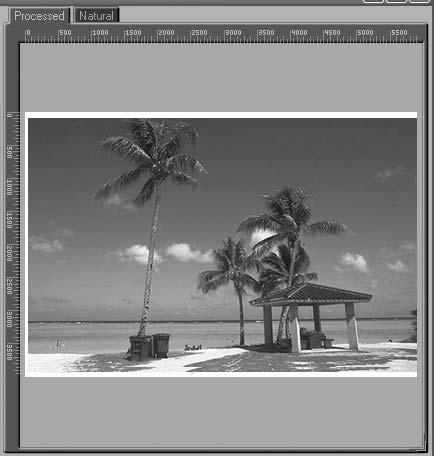 The Natural panel shows the image before processing, the Processed panel the image as it would appear when scanned at current settings.