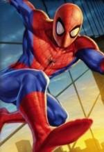 Introducing Spider- Man The story of Spider- Man begins with a teenage boy named Peter Parker who lived a semi- normal life with his aunt and uncle in New York City.