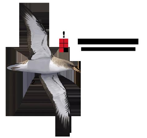 Seabirds usually breed in colonies that can hold up to several hundred thousand pairs, and are often located in inaccessible sites such as remote islands and seacliffs.