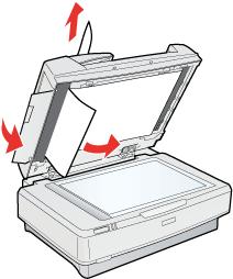 Dacă hârtia este blocată în poziţia de alimentare, deschideţi capacul stâng şi trageţi cu atenţie hârtia prinsă în mecanismul