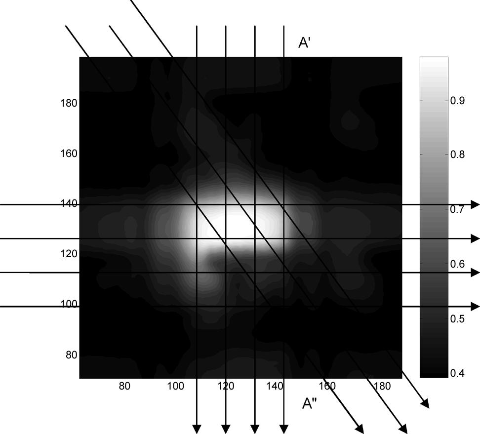 4 SENSORS JOURNAL Fig. 5. Plot of the actual measured PSF (after [2] [4]). Cross sections used for fitting are located along the arrows, normal to the layout surface.
