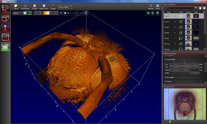 ThorImage Software 3D Mode In the 3D imaging mode, the probe beam scans sequentially across the sample to collect a series of 2D cross-sectional images, which are then processed to build a 3D