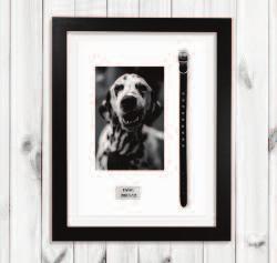 8 20x30 76.40 24x16.2 Memorabillia Framing Frame your memories in style with Dunns.
