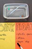 Sink or Float? Science Does it float? Try different objects and record if they sink or float.