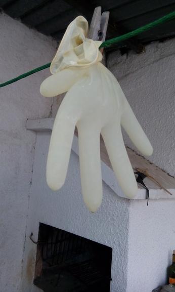 Figure 7 Glove hanging.