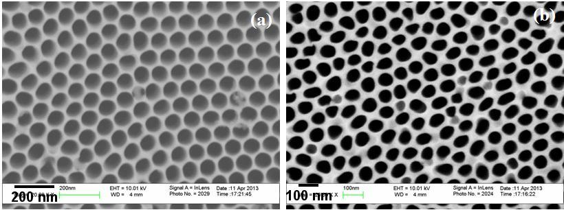 Figure 6: SEM micrographs of the anodized alumina templates