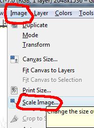 Choose Image, Scale Size from the main menu.