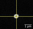 a) b) Fig. 6. STED beam phase mask imaged with the 150nm gold beads.