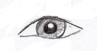 You can create a colored effect for the iris with graphite by filling it in.