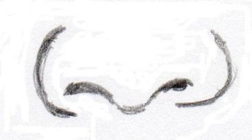 4. Drawing the Nose and Mouth Now measure for the nose. Mark the length of the eye again; the nose is about 1 ½ eyes long. Mark this on your paper.