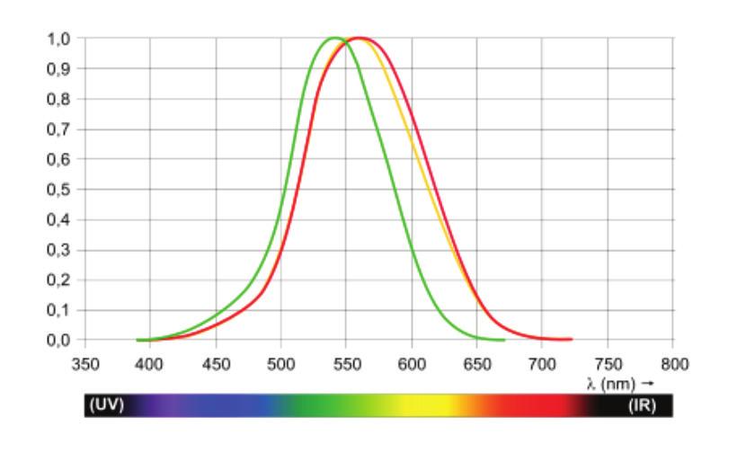 Humans perceive light to be brightest in the green and yellow area of the spectrum.