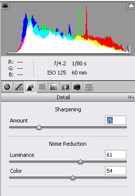 STEP 7: NOISE REDUCTION AND SHARPENING Zoom in to 200% and inspect the image for noise Noise can be reduced using the Luminance and Colour sliders You should only use these if noise is present