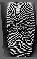 For DB4, it was synthetically generated using a Synthetic Fingerprint Generation or also known