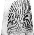 Image samples from CASIA-FingerprintV5 Fig.