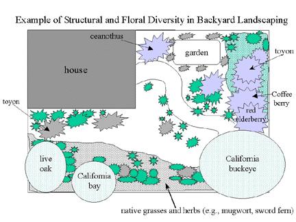 How to Create Bird-Friendly Habitat Provide Structural Diversity Multiple plant species in mixed clumps