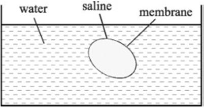 The Nernst equation consider a reservoir with de-ionized water add a volume with saline solution () enclosed by a semipermeabel (for ) membrane diffusion will go on until equilibrium is established