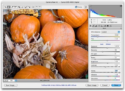 Camera Raw 4.1 update 1 Here is a screen shot showing a close-up 1:1 view of a photograph taken of some pumpkins.