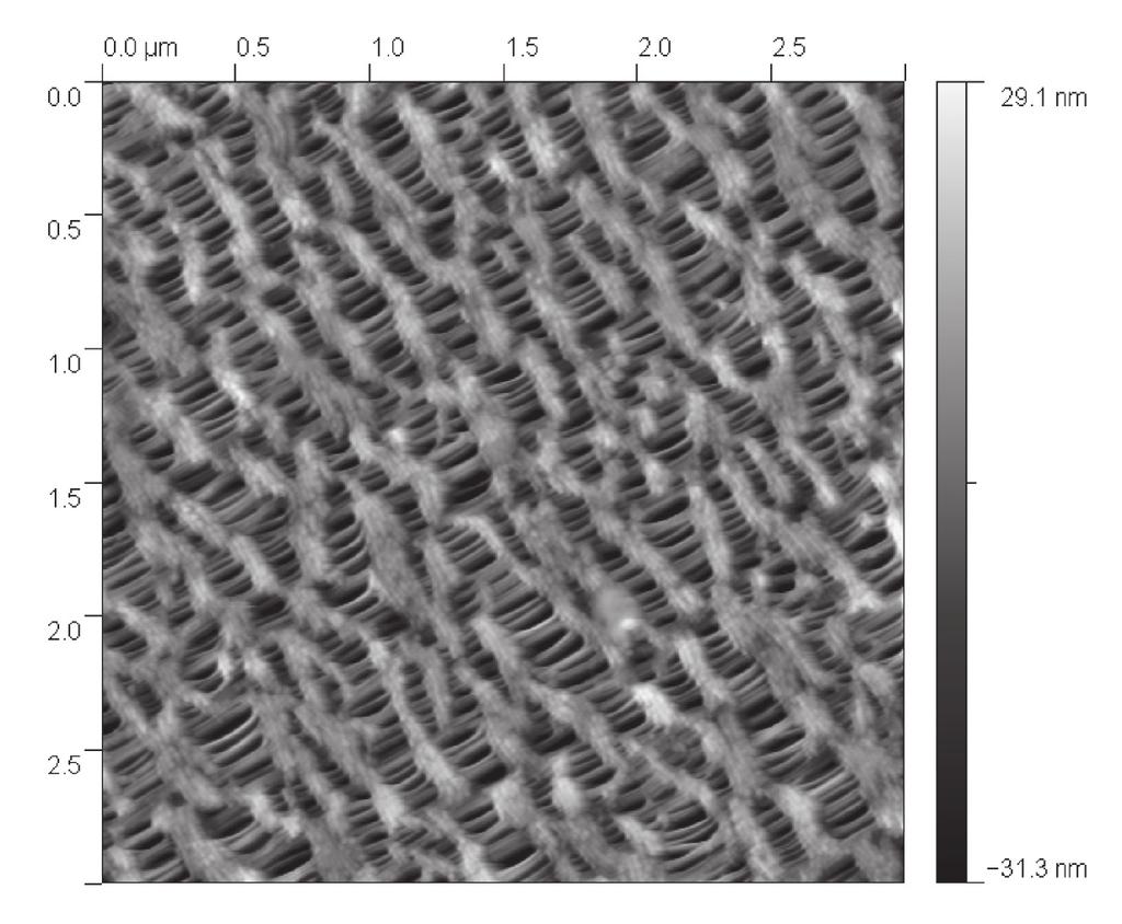 08 Keysight Why Magnification is Irrelevant in Modern Scanning Electron Microscopes - Application Note Figure 15. AC mode AFM image of Celgard polymer 3 µm x 3 µm scan size.
