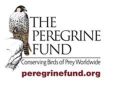 Peregrine Fund and American