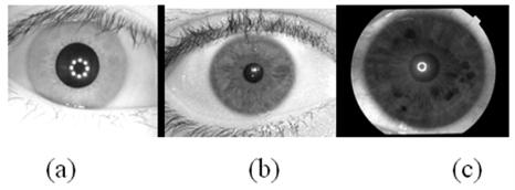 686 RAJESH BODADE & SANJAY TALBAR However, these are seldom true resulting into inaccurate iris segmentation and localization from an acquired image which leads to loss of important part (unique