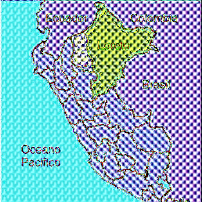 History 2002 2004 A pilot project was launched in the Alto Amazonas province of