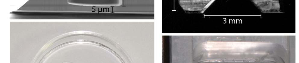 etching and a microwell created by dry etching (Supplementary Fig. 5a and Online Methods).