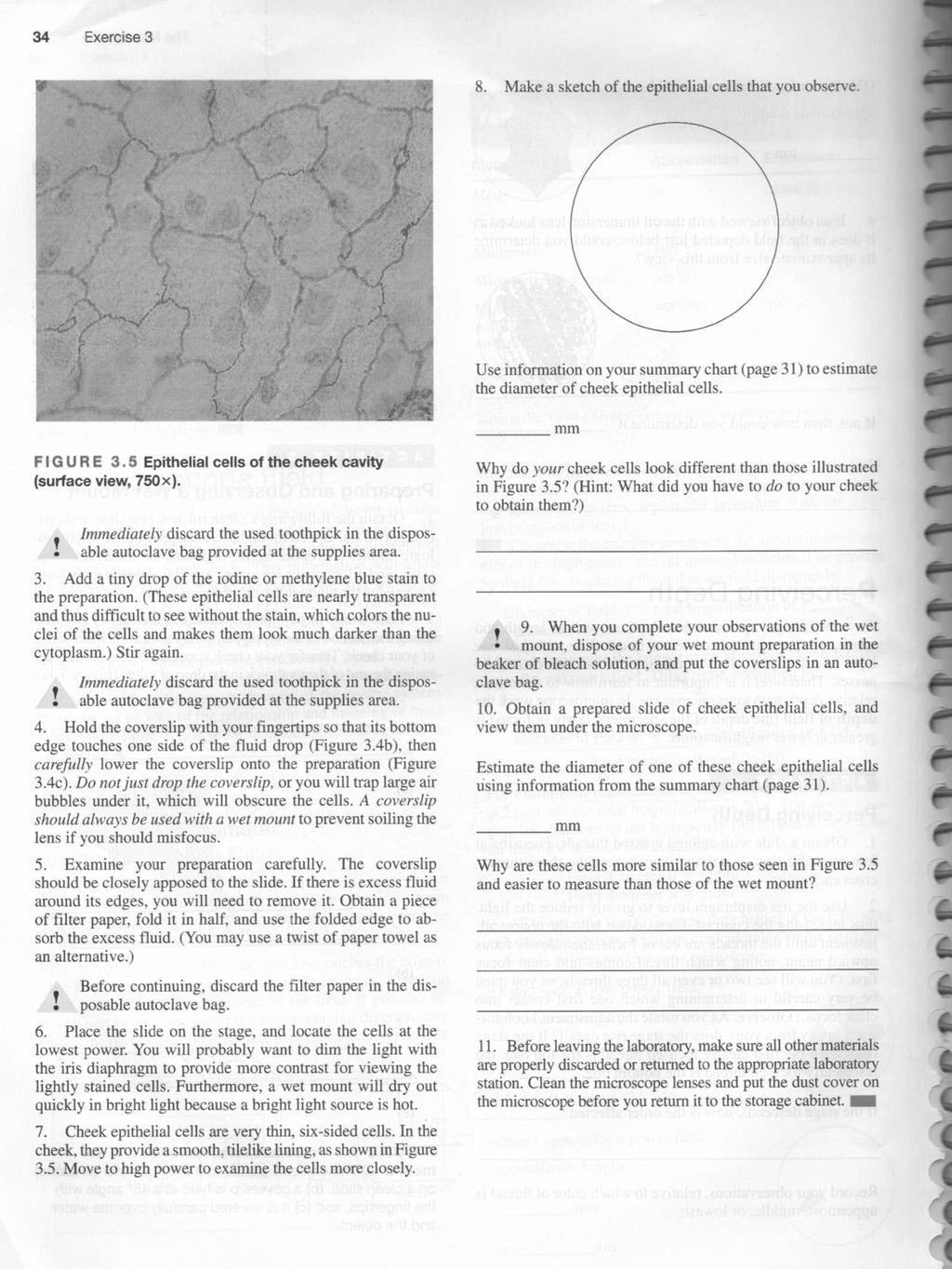 34 Exercise 3 8. Make a sketch of the epithelial cells that you observe. Use information on your summary chart (page 31 ) to estimate the diameter of cheek epithelial cells. mm FIG U R E 3.
