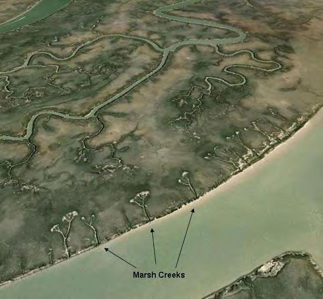 Can the Salt Marsh Keep Up? Key factors of the future tidal marsh acres The Capacity of the Marsh to raise and keep up with rate of Sea Level Rise.