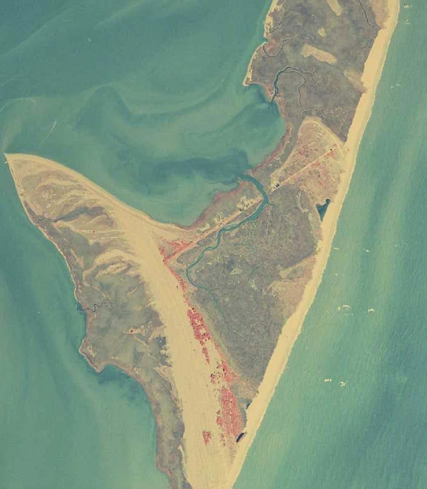 Cape Island Shoreline