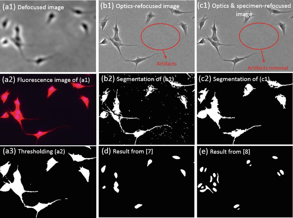 Refocusing Phase Contrast Microscopy Images 71 Fig. 6. Qualitative evaluation.