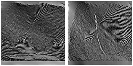 (c) (d) Figure 11: Thinned enhanced image enhanced image with short ridgelines removed Conclusion A fingerprint enhancement approach using raised circular cosine filter has been proposed.