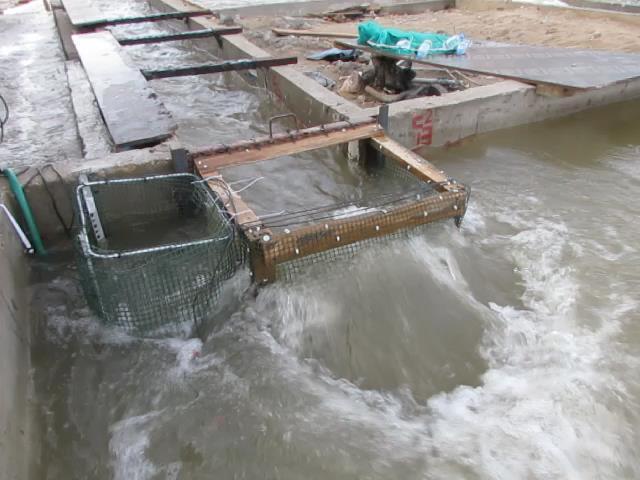 DATA COLLECTION FISH SWIMMING ABILITY Large flume constructed on site Turbulent flow conditions Water pumped from river.