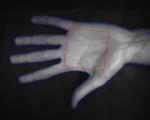 Acquisition of Vein Images The hand of an individual is placed above the sensing element to obtain the essential features of the vein patterns.
