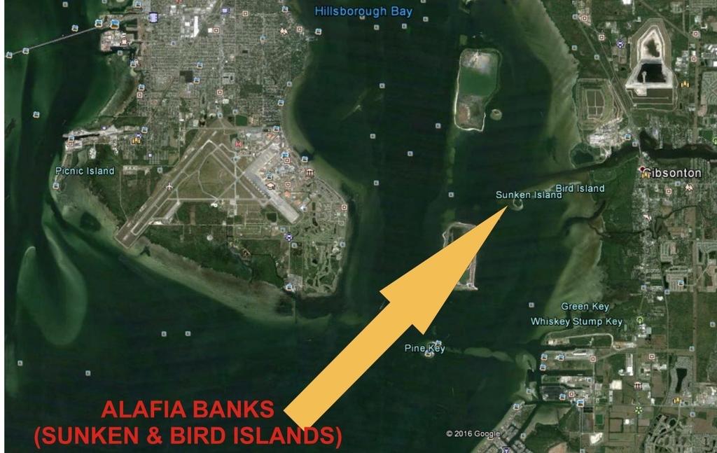 FWC Proposed CWA s in Southwest Florida Could Impact Boa;ng CWAs (Cri)cal Wildlife Area s) are established by FWC to protect important concentra)ons of wildlife and manage human ac)vi)es to minimize