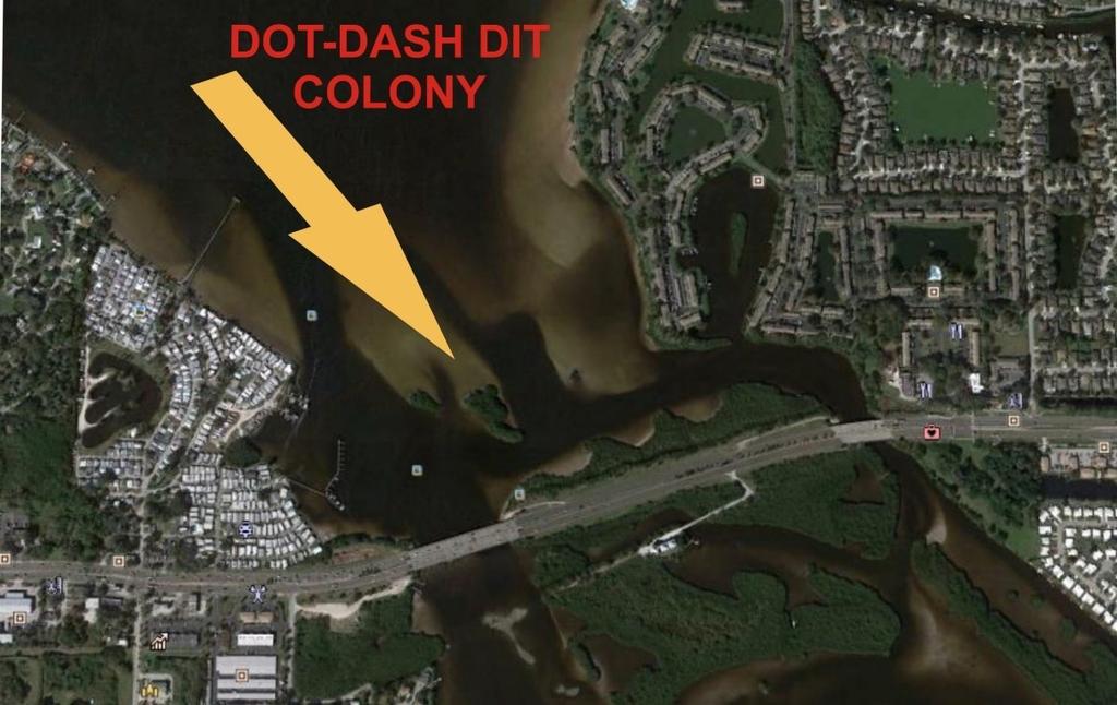 Dot-Dash-Dit, Manatee County (newly proposed CWA) The Dot-Dash-Dit colony refers to 3 mangrove islands at the mouth of the Braden River, in Manatee County.