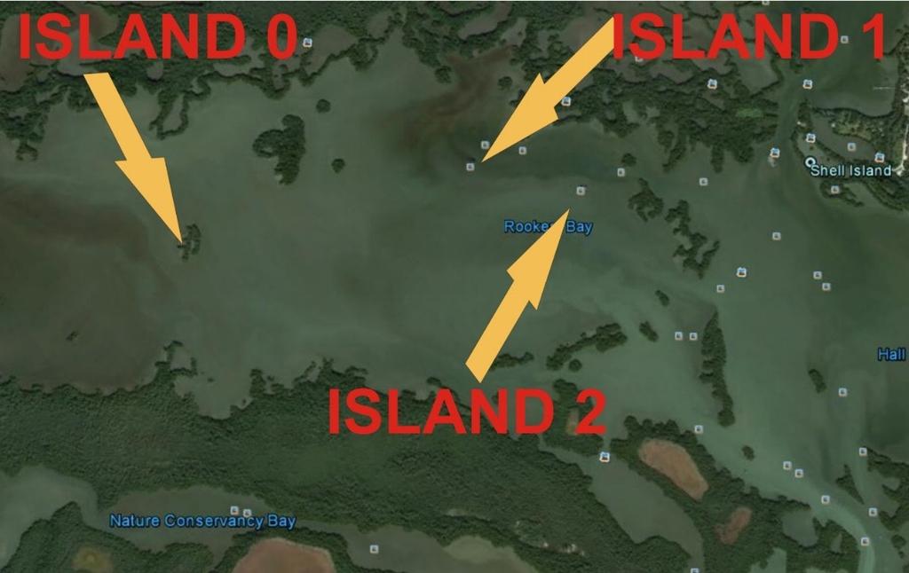 More recently, nes)ng has declined, but hundreds of birds roost on these islands at night.