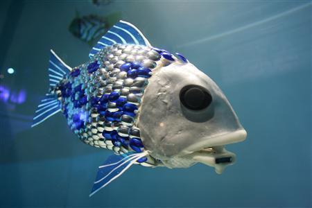 Robot fish Intended to track