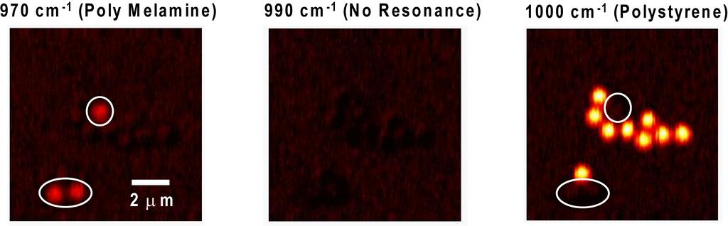 Figure 5. FM- images. The sample is mixtures of two different polymer beads (1μm diameter). Poly melamine and polystyrene have vibrational peaks at 970 cm -1 and 1000 cm -1, respectively.